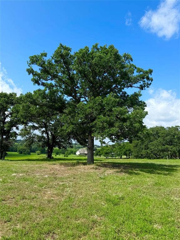 309 Grand View Drive, Athens, TX 75752