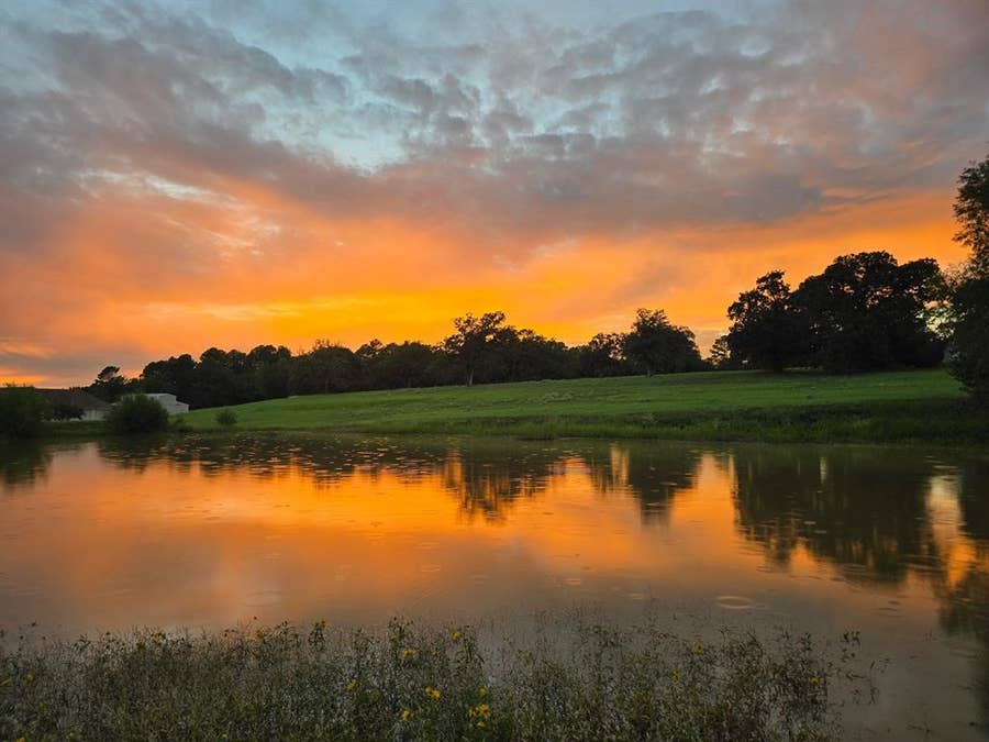 Property photo for 309 Grand View Drive, Athens, TX