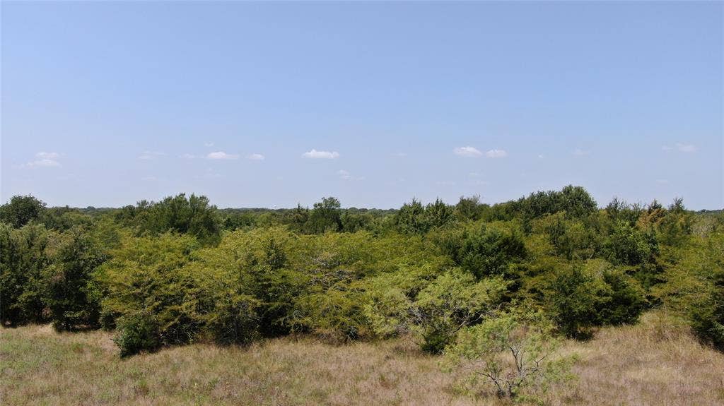 0 FM 47, Wills Point, TX 75169 0 FM 47, Wills Point, TX 75169