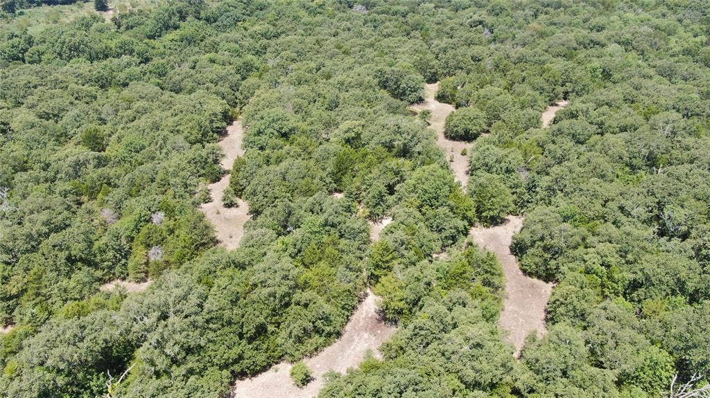 0 FM 47, Wills Point, TX 75169 0 FM 47, Wills Point, TX 75169