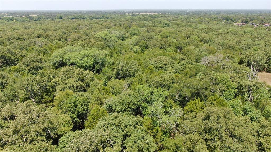 0 FM 47, Wills Point, TX 75169 0 FM 47, Wills Point, TX 75169