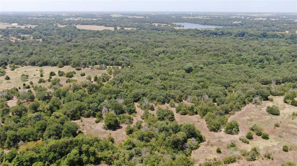 0 FM 47, Wills Point, TX 75169 0 FM 47, Wills Point, TX 75169