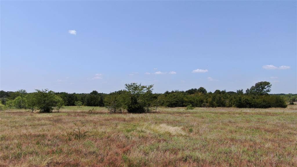 0 FM 47, Wills Point, TX 75169 0 FM 47, Wills Point, TX 75169