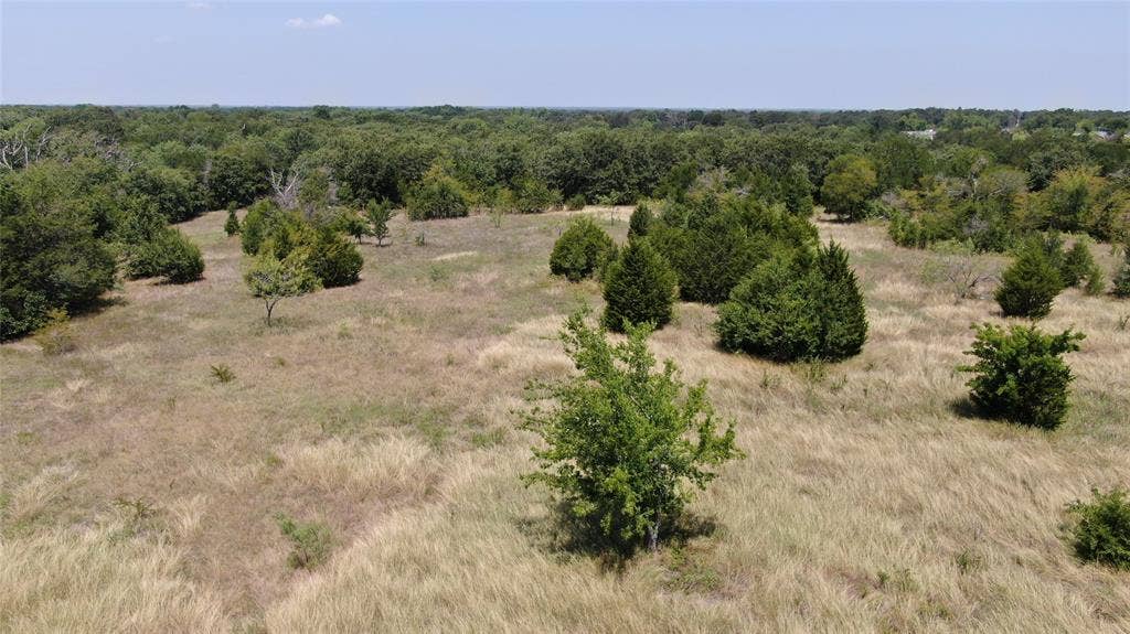 0 FM 47, Wills Point, TX 75169 0 FM 47, Wills Point, TX 75169