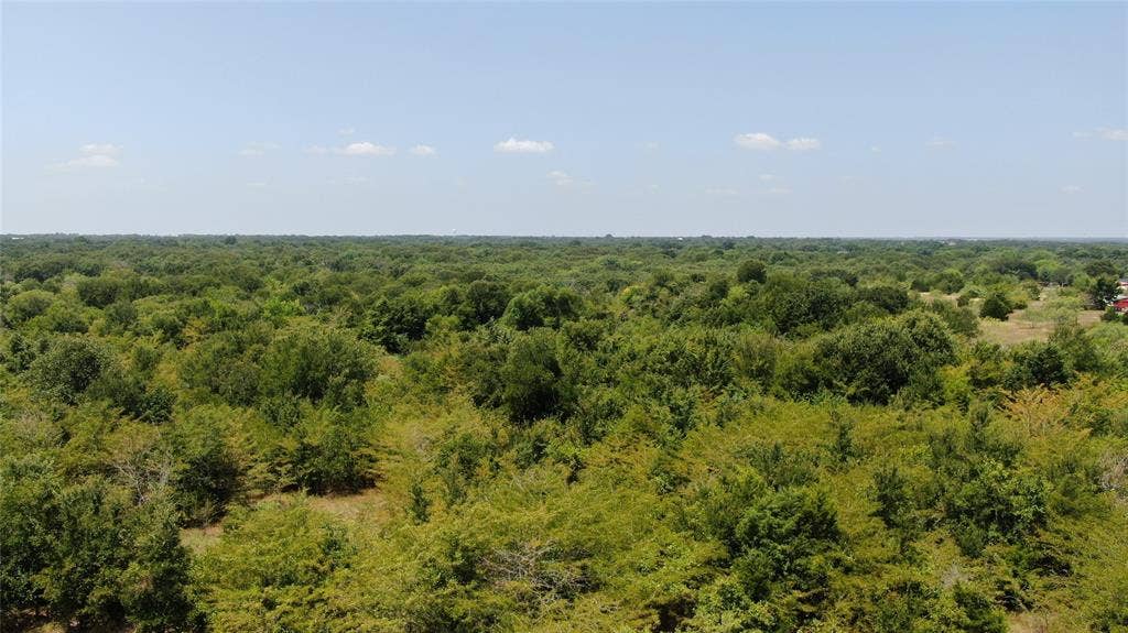 0 FM 47, Wills Point, TX 75169 0 FM 47, Wills Point, TX 75169