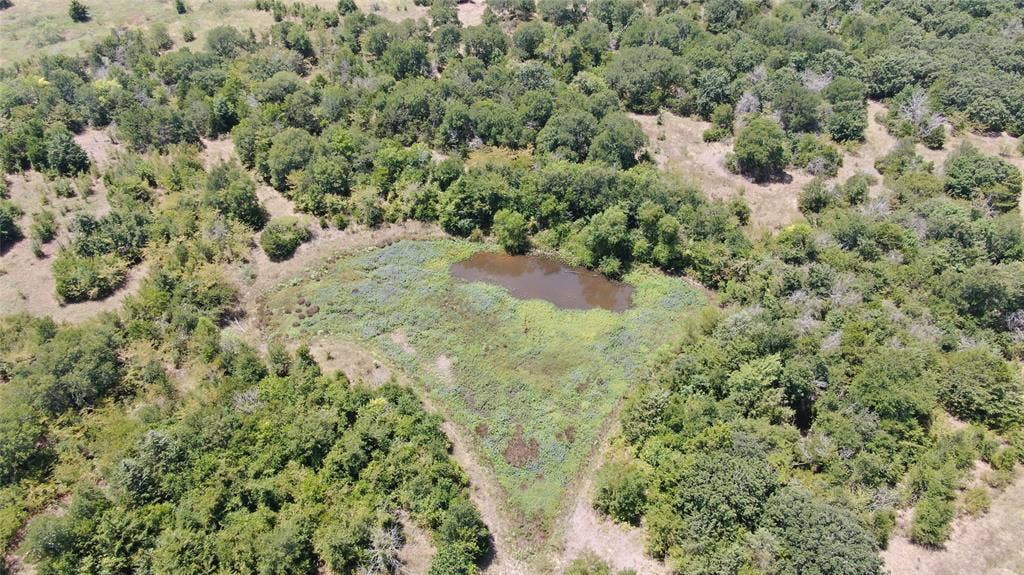 0 FM 47, Wills Point, TX 75169 0 FM 47, Wills Point, TX 75169