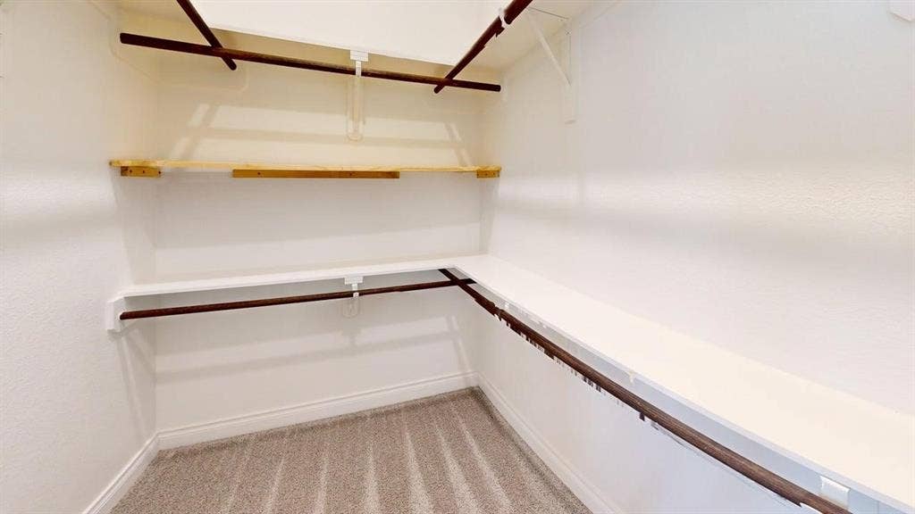 2401 Robin Way, Northlake, TX 76247 Walk-in closet with carpet flooring, white walls, and built-in shelving