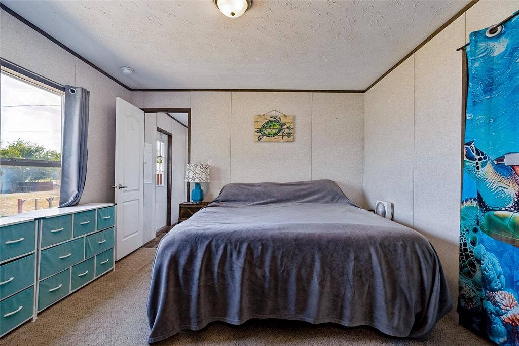 4415 Woodland Drive, Granbury, TX 76048 Carpeted flooring, paneled walls, and a ceiling-mounted light fixture