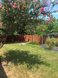 1316 Shelley Drive, Burleson, TX 76028 Expansive lawn area with a flowering tree and a raised garden bed