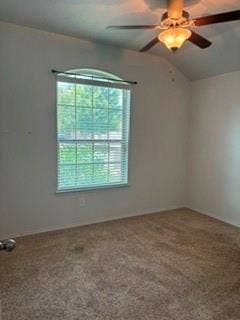 1316 Shelley Drive, Burleson, TX 76028 Vaulted ceiling with a ceiling fan, arched window with horizontal blinds, and carpeted flooring