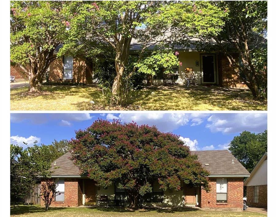 Property photo for 1105 Park Street, #A & B, Arlington, TX
