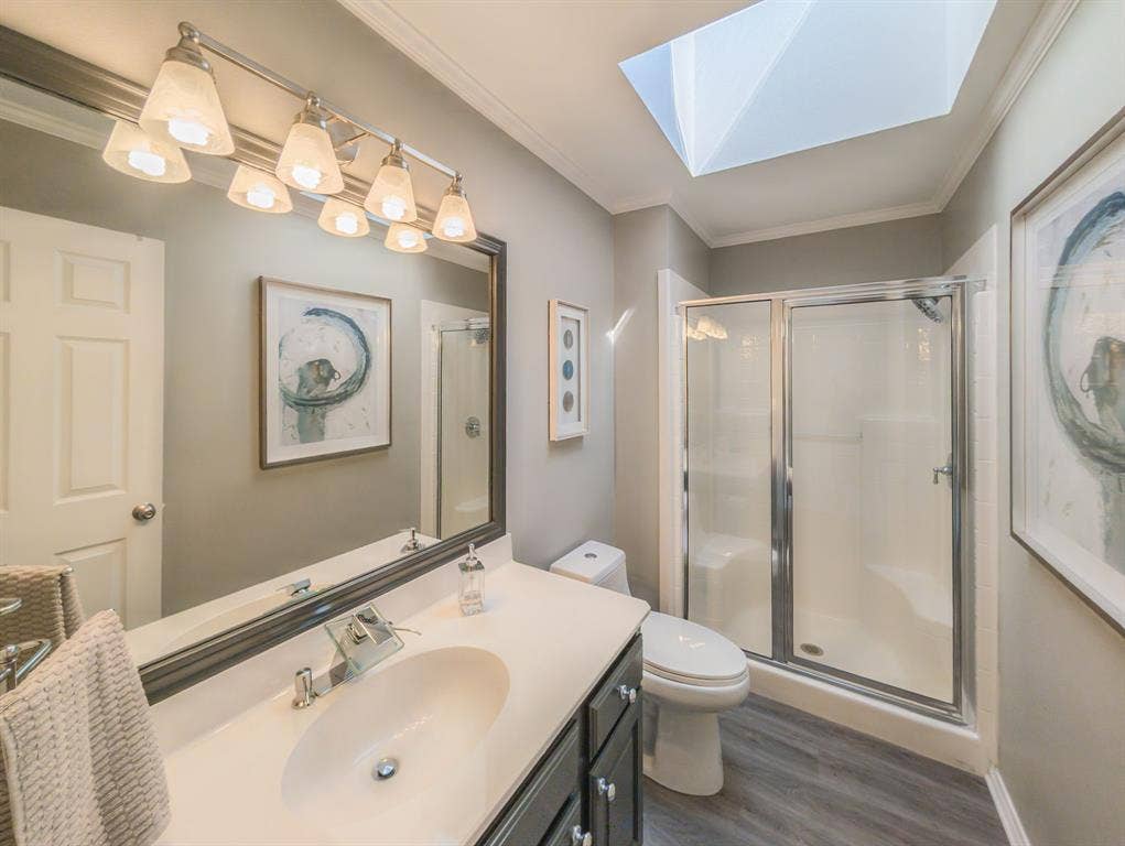 4130 Sagemont Lane, Tyler, TX 75707 Hall bath with skylight.