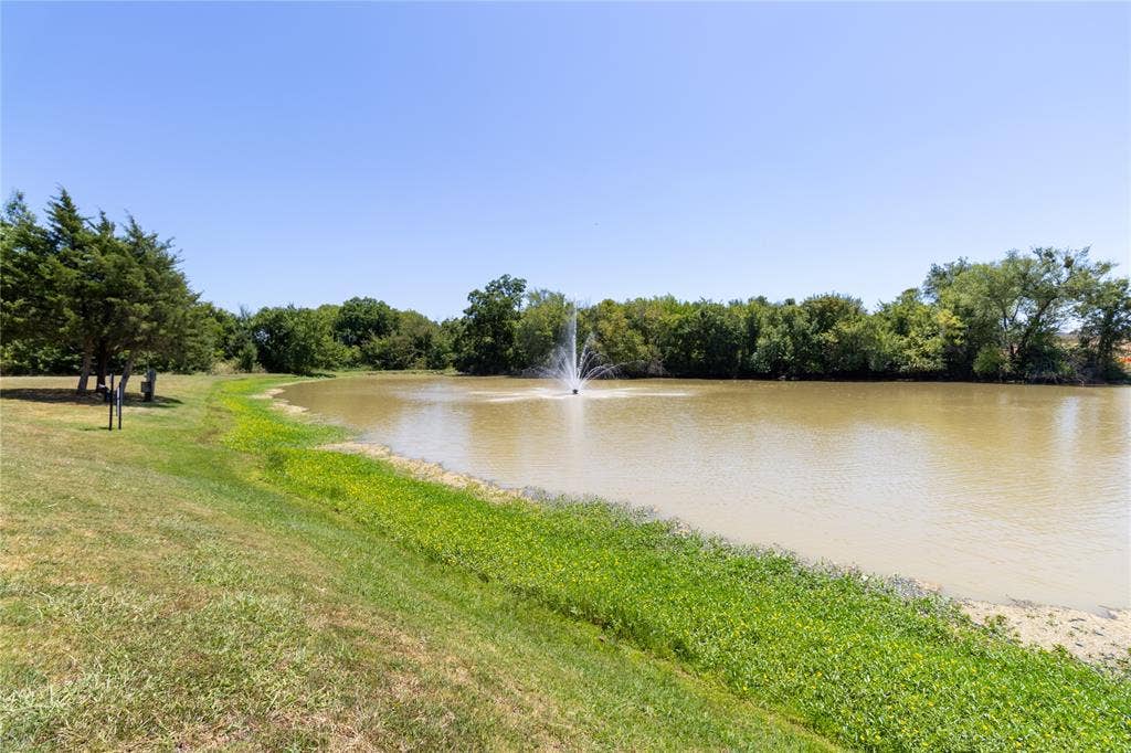 1312 Piedmont Drive, Mansfield, TX 76063 Pond next to the playground
