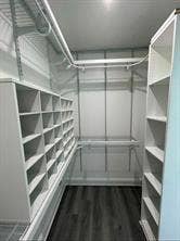 3313 Darion Lane, Plano, TX 75093 large closet primary system