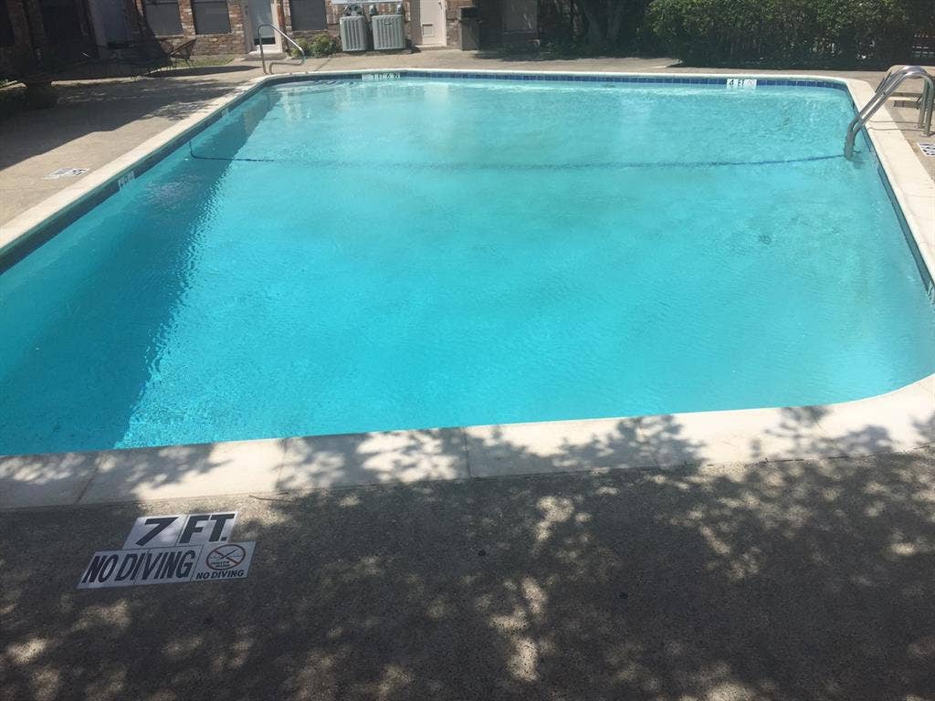 6050 Birchbrook Drive, #242, Dallas, TX 75206 Rectangular swimming pool with light blue water, surrounded by concrete decking and white coping