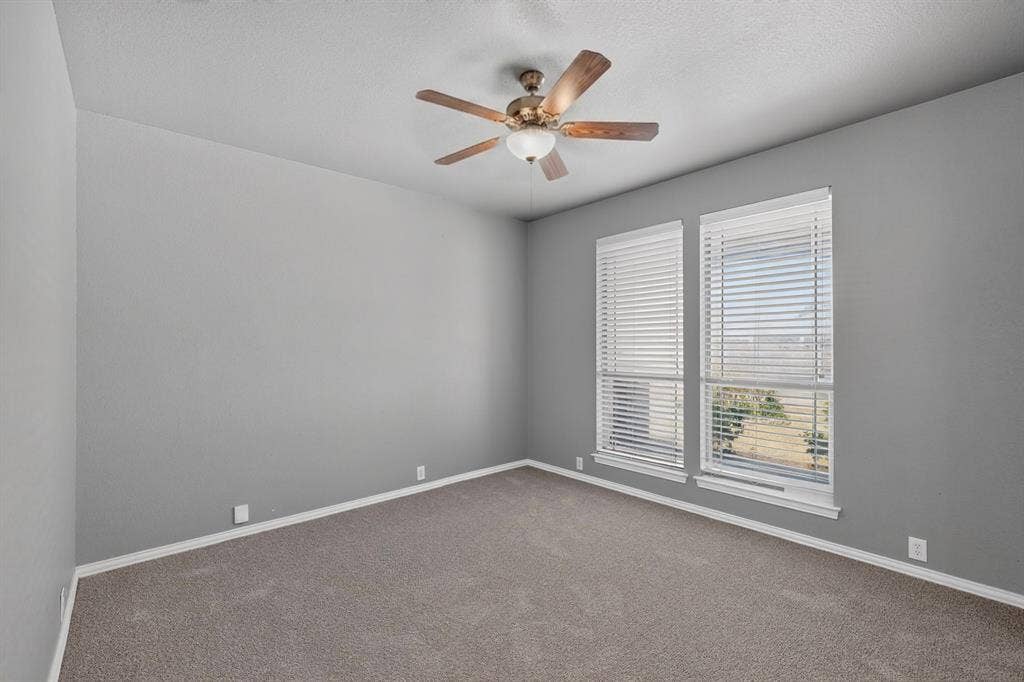 Textured gray walls, dual windows with blinds, wall-to-wall carpeting, and a ceiling fan with light fixture