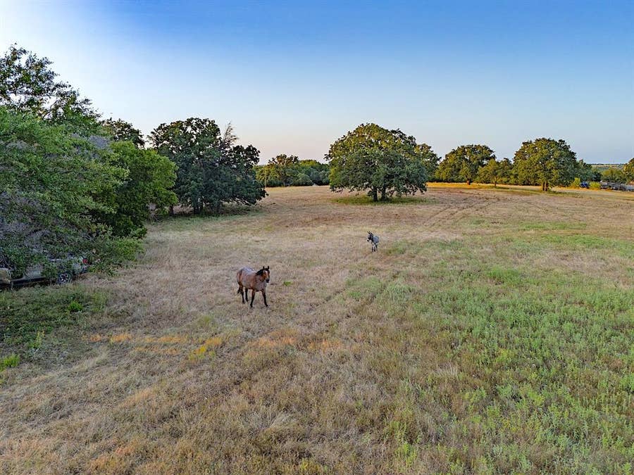 Property photo for 2403 County Road 2224, Decatur, TX