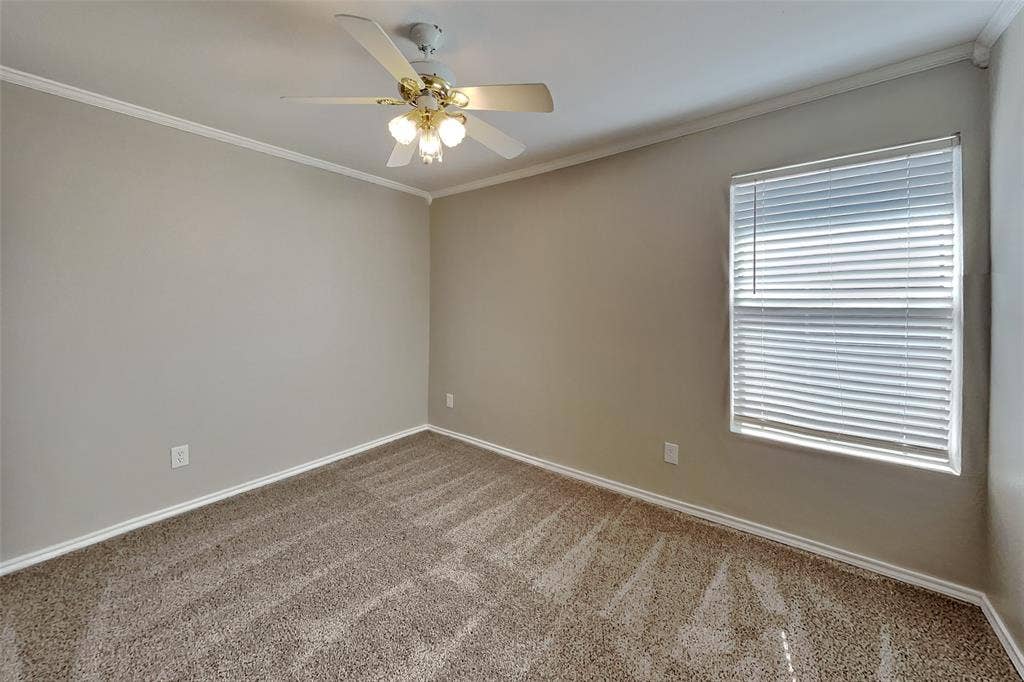 3205 Muleshoe Lane, Fort Worth, TX 76179 3205 Muleshoe Lane, Fort Worth, TX 76179