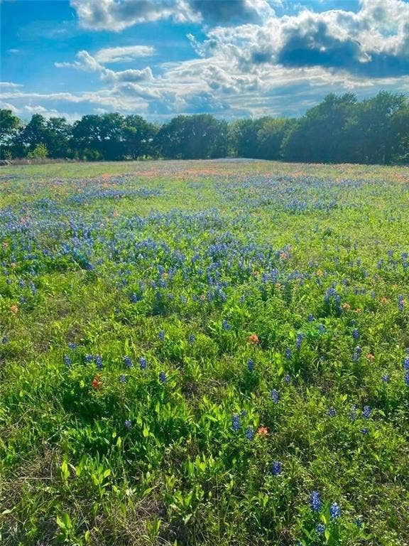 Property photo for TBD Kirkland Hill Road, Axtell, TX