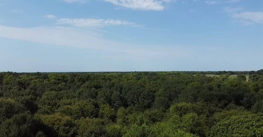 Property photo for TBD County Road 314, Terrell, TX