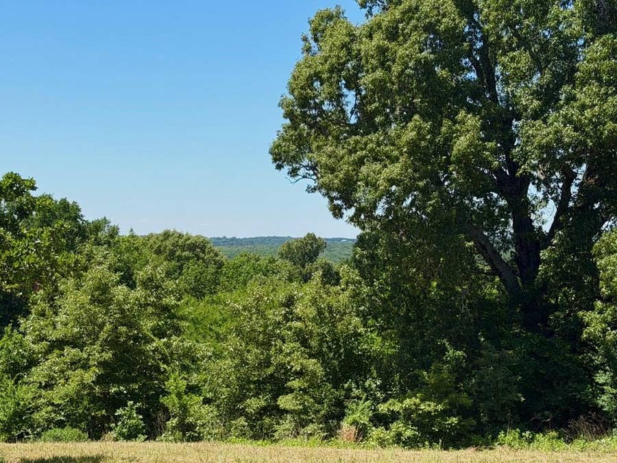 Property photo for 261 HIGH POINT Court, Athens, TX