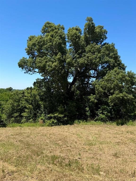 261 HIGH POINT Court, Athens, TX 75752 261 HIGH POINT Court, Athens, TX 75752