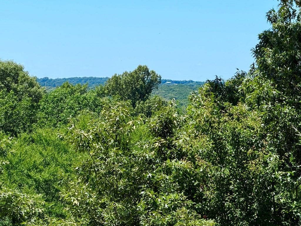 261 HIGH POINT Court, Athens, TX 75752 261 HIGH POINT Court, Athens, TX 75752