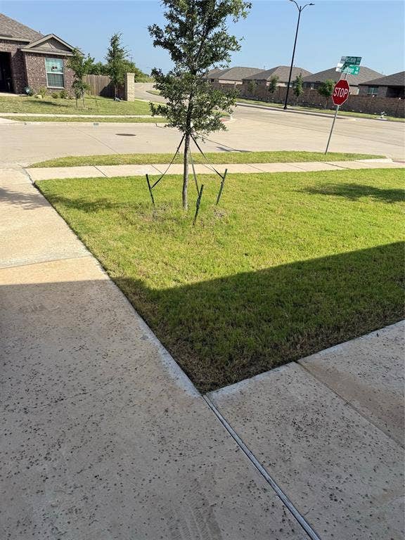1001 Calhoun Drive, Anna, TX 75409 Manicured lawn with a young tree