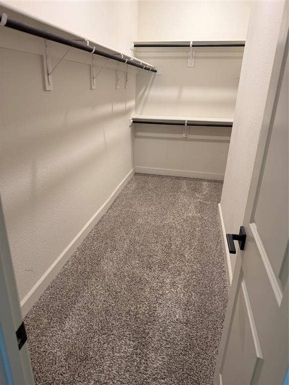 1001 Calhoun Drive, Anna, TX 75409 Walk-in closet with carpet flooring, multiple shelving units, and clothing rods