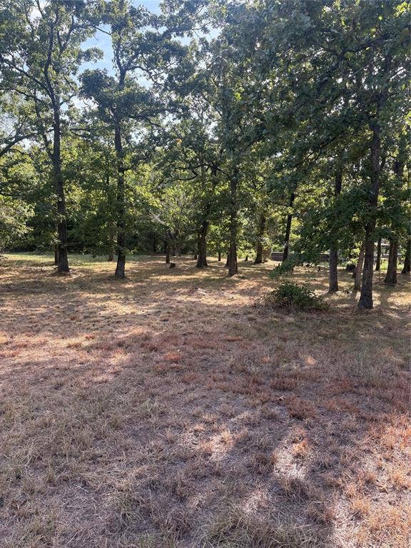 124 Point La Vista, Malakoff, TX 75148 124 Point La Vista, Malakoff, TX 75148