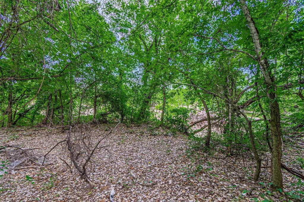 3018 River View Court, Granbury, TX 76048 Wooded property with a natural ground covering
