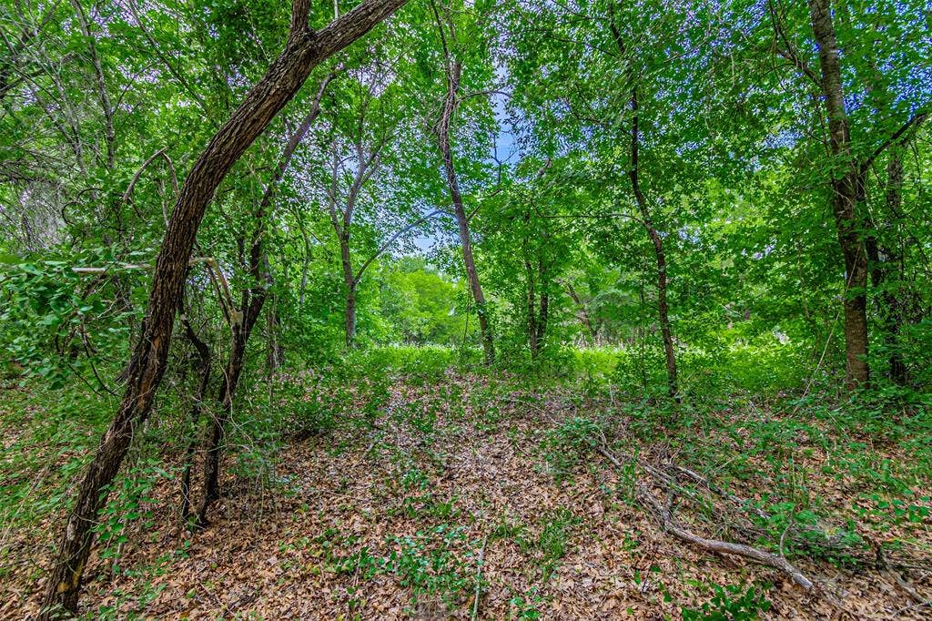 3018 River View Court, Granbury, TX 76048 Wooded area featuring mature trees and natural ground cover
