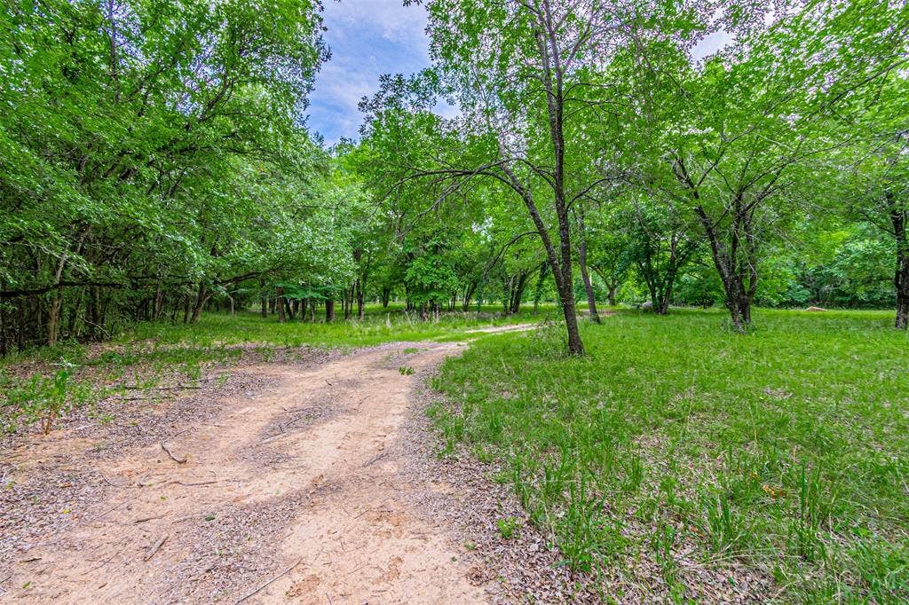 3018 River View Court, Granbury, TX 76048 Gravel and dirt pathway through a wooded landscape, featuring abundant green foliage and mature trees