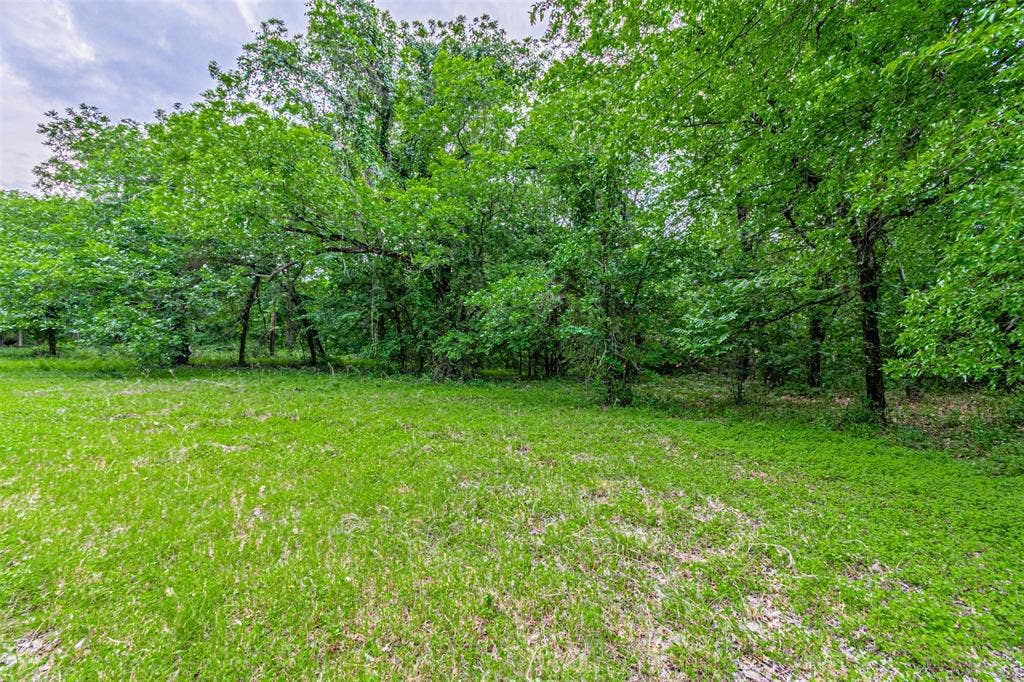 3018 River View Court, Granbury, TX 76048 Expansive natural landscaping with mature trees and verdant ground cover