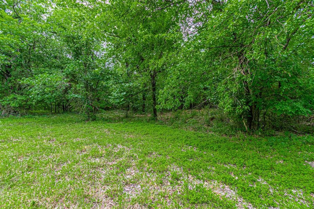 3018 River View Court, Granbury, TX 76048 Expansive grassy area surrounded by mature trees