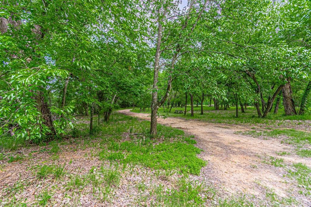 3018 River View Court, Granbury, TX 76048 Wooded acreage with a winding natural path, established trees, and open ground