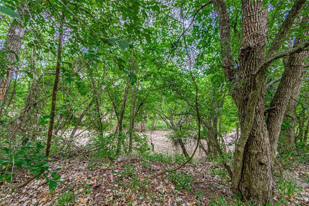 3018 River View Court, Granbury, TX 76048 Additional content