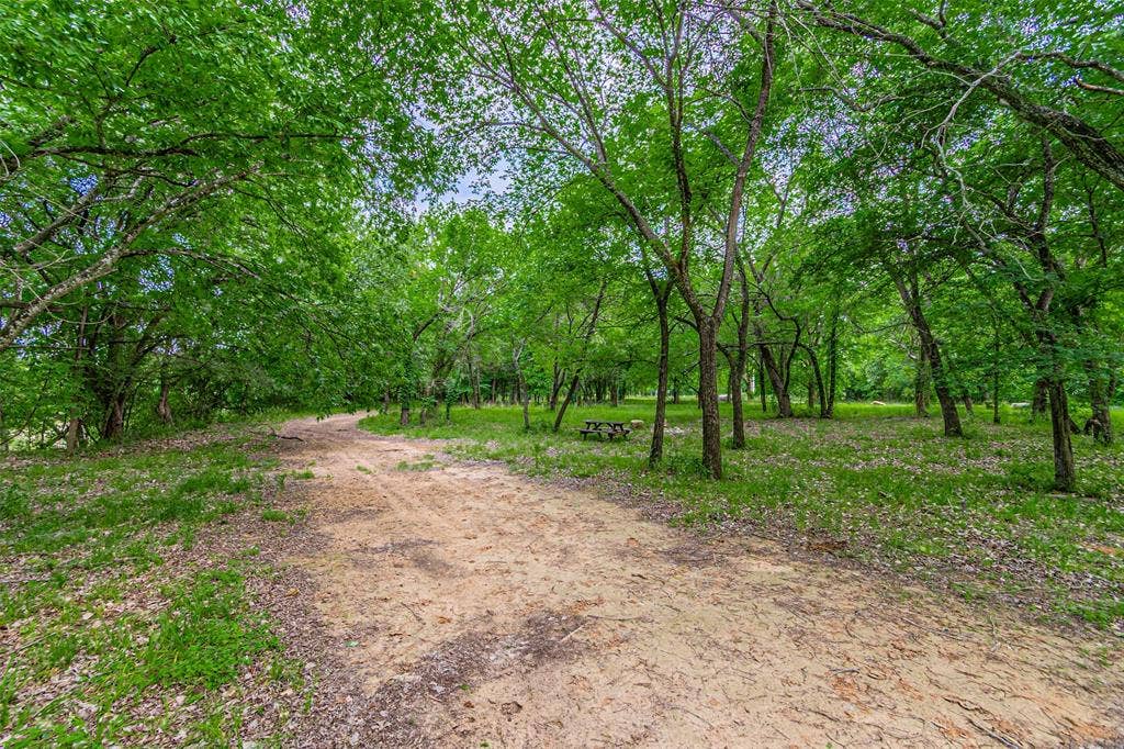 3018 River View Court, Granbury, TX 76048 Wooded property featuring a natural path, mature trees, and a picnic table