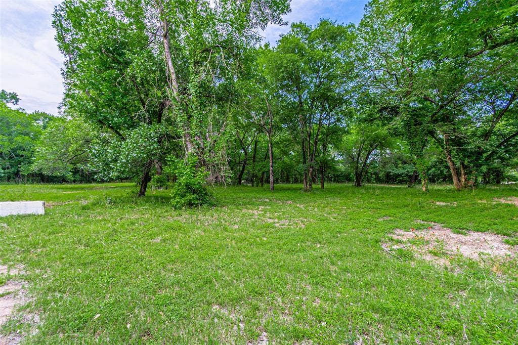 3018 River View Court, Granbury, TX 76048 Expansive green space featuring mature trees and established ground cover