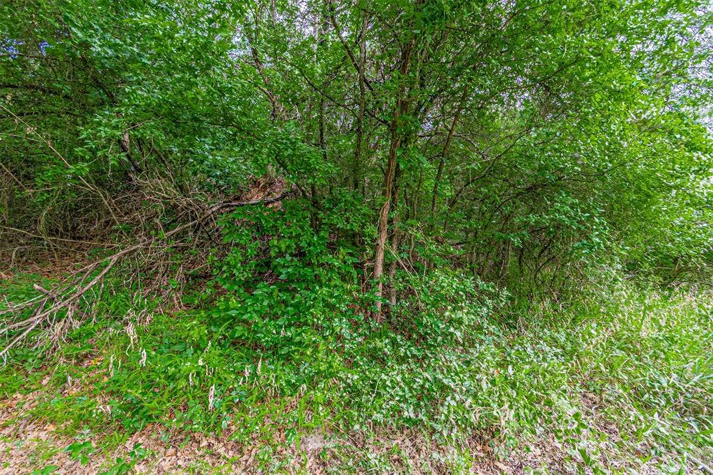 3018 River View Court, Granbury, TX 76048 Additional content