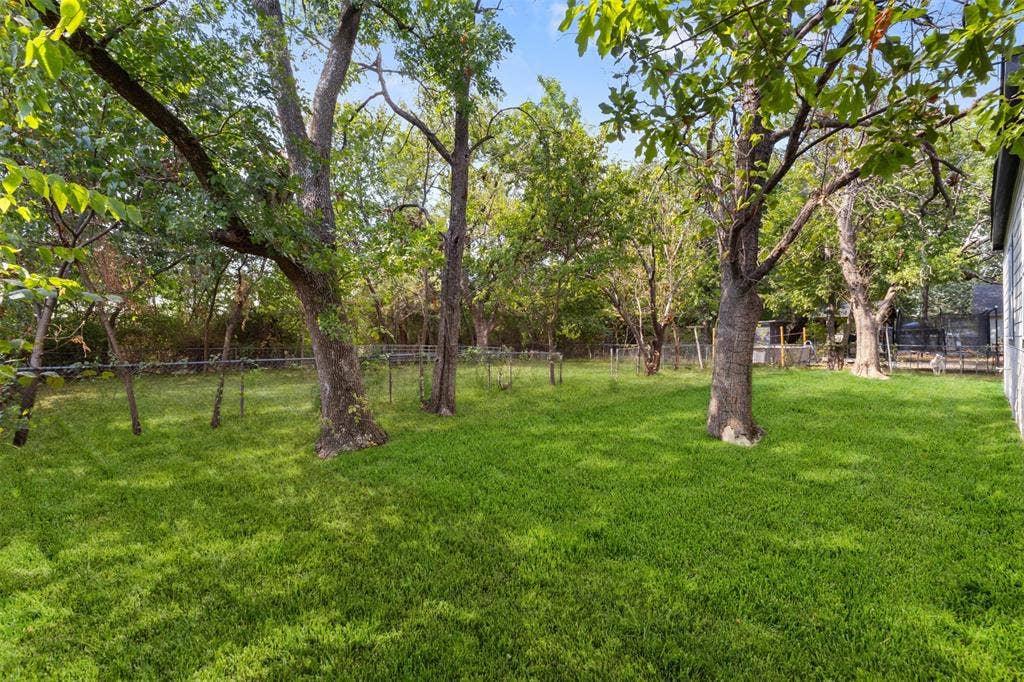 333 Levant Avenue, Dallas, TX 75217 Expansive lawn featuring mature trees and a chain-link perimeter fence