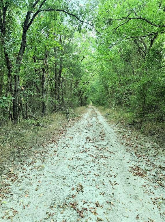 Property photo for 6343 County Road 4727, Wolfe City, TX