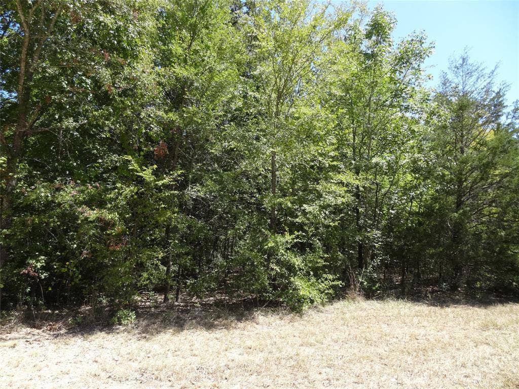 Lot 113 Westwood Drive, Trinidad, TX 75163 Lot 113 Westwood Drive, Trinidad, TX 75163