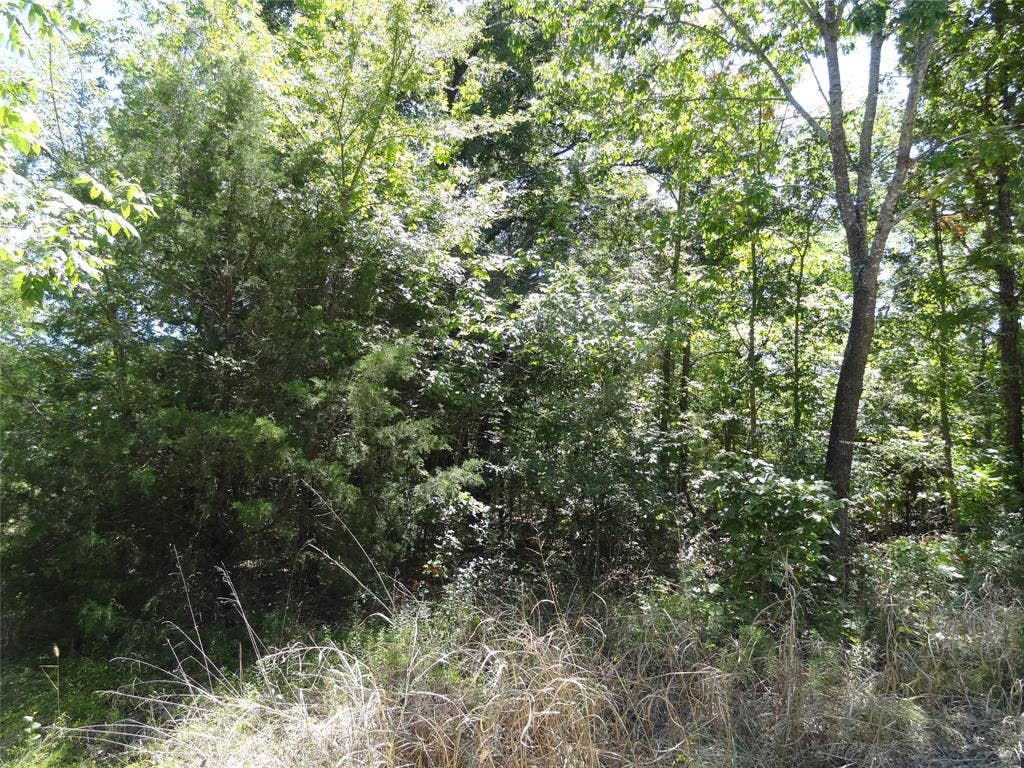 Lot 113 Westwood Drive, Trinidad, TX 75163 Lot 113 Westwood Drive, Trinidad, TX 75163