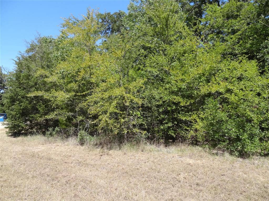 Lot 113 Westwood Drive, Trinidad, TX 75163 Lot 113 Westwood Drive, Trinidad, TX 75163
