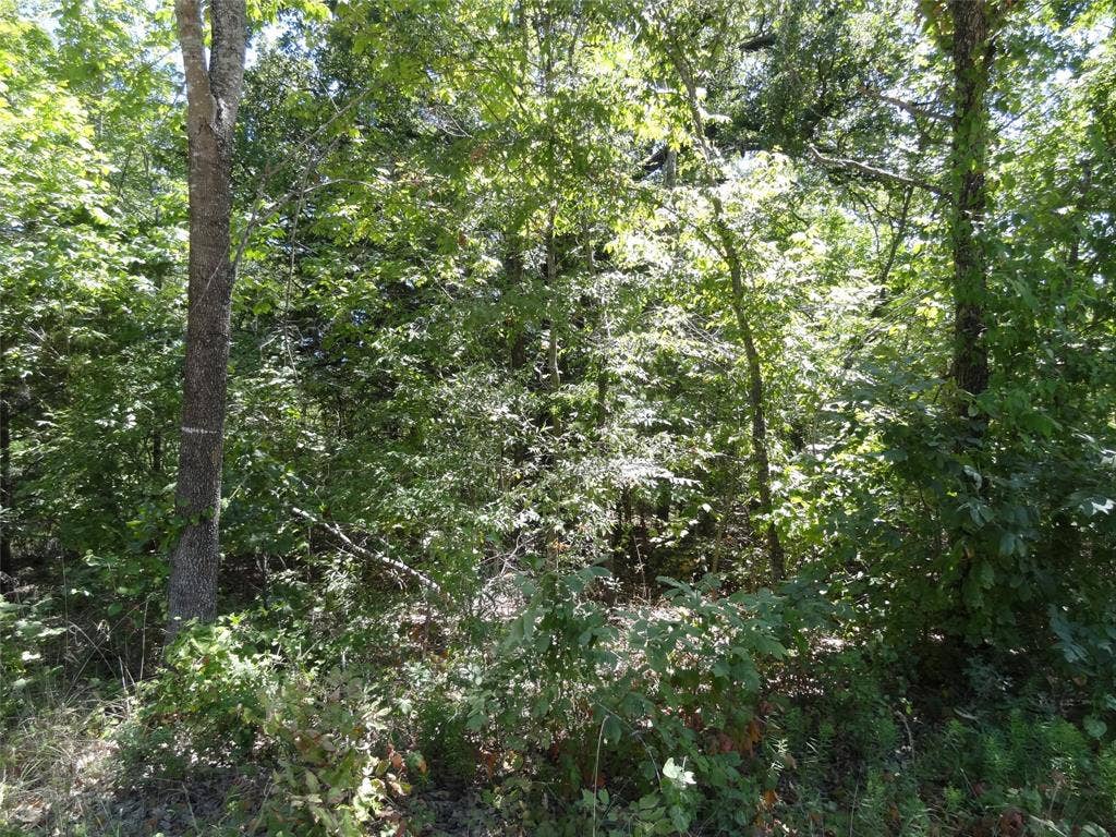 Lot 113 Westwood Drive, Trinidad, TX 75163 Lot 113 Westwood Drive, Trinidad, TX 75163