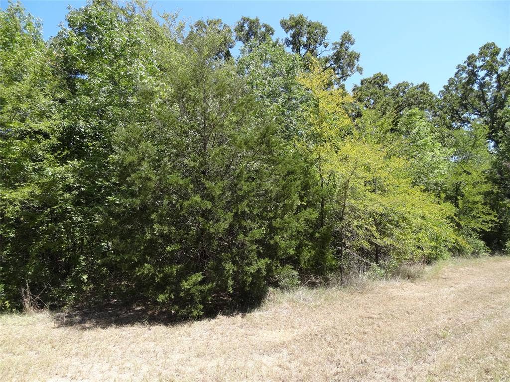 Lot 113 Westwood Drive, Trinidad, TX 75163 Lot 113 Westwood Drive, Trinidad, TX 75163