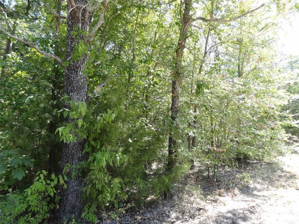 Lot 113 Westwood Drive, Trinidad, TX 75163 Lot 113 Westwood Drive, Trinidad, TX 75163
