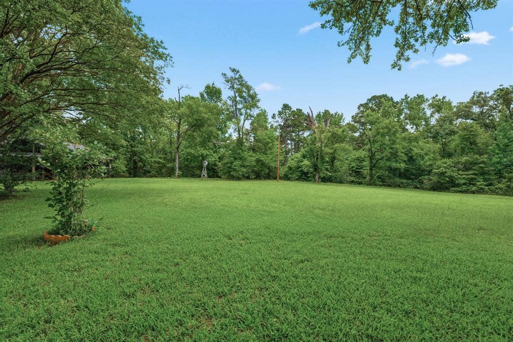 6146 County Road 334, Tyler, TX 75708 Expansive green lawn with surrounding mature trees and clear sky