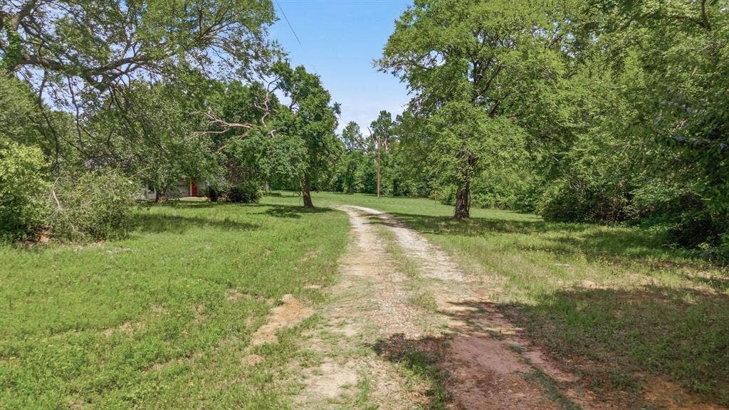 6146 County Road 334, Tyler, TX 75708 Gravel driveway surrounded by mature trees and natural landscaping